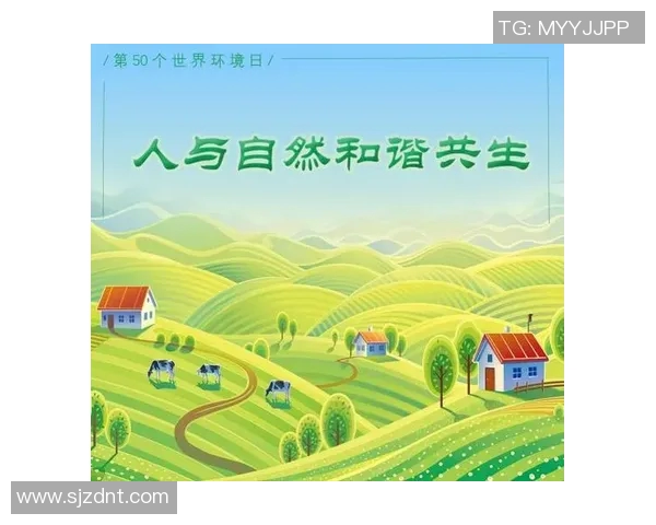 以社会责任为核心推动力，建设和谐共生的未来社会与个人发展的新路径