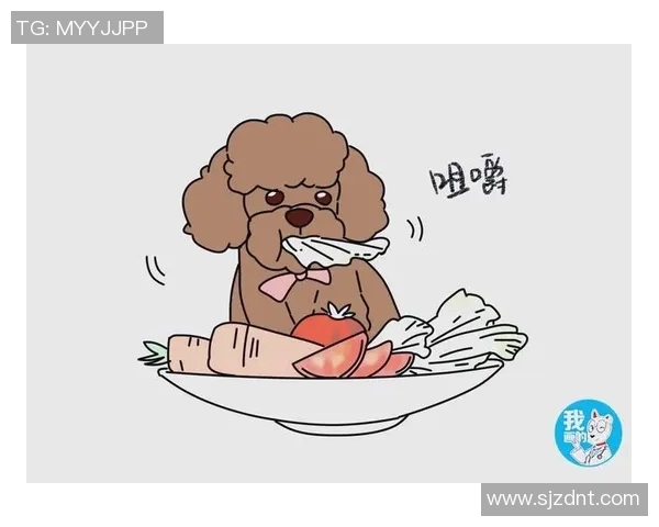 杨静独家分享篮球心得与技巧助你提升球技的全面指南