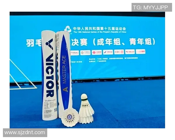 武汉羽毛球队荣登全国羽毛球配合排行榜第二名展现实力与团队默契