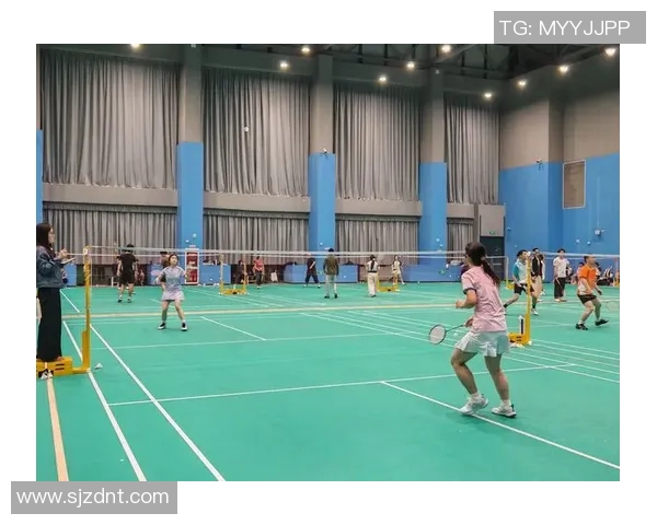 深圳羽毛球队灵活性分析与战术创新的深度研究