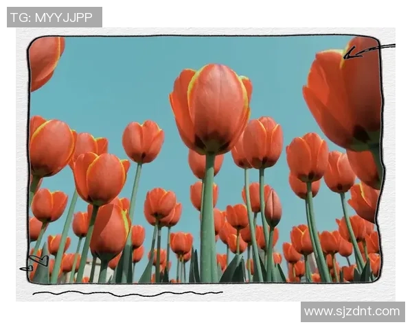 捕捉瞬间之美：从构图到光影探索写真摄影的艺术与技巧