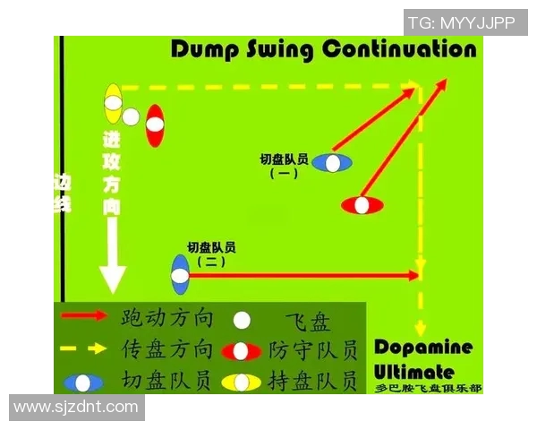 深圳飞盘队节奏对比深度解析与战术探讨