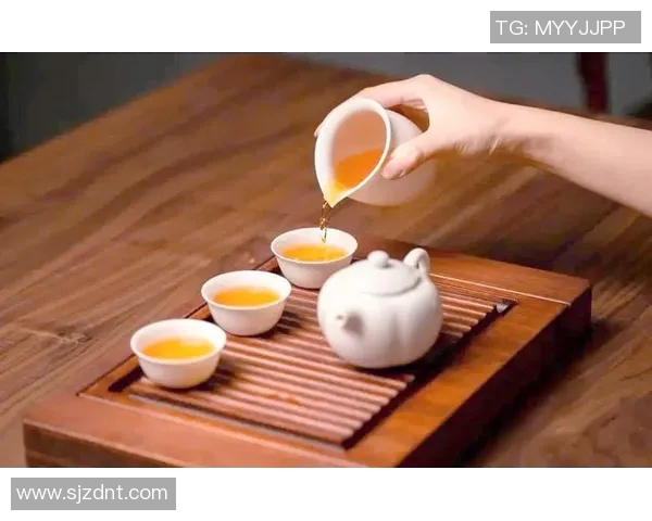 茶堂为心，品味悠然探索传统茶文化与现代生活的完美融合