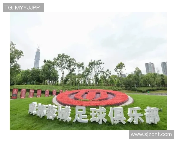 成都足球队实力分析与数据解读揭示其竞技表现的关键因素